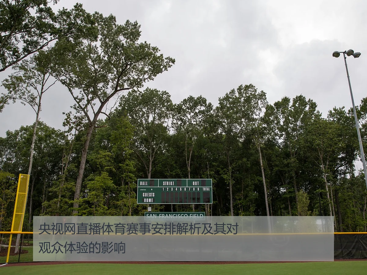 央视网直播体育赛事安排解析及其对观众体验的影响